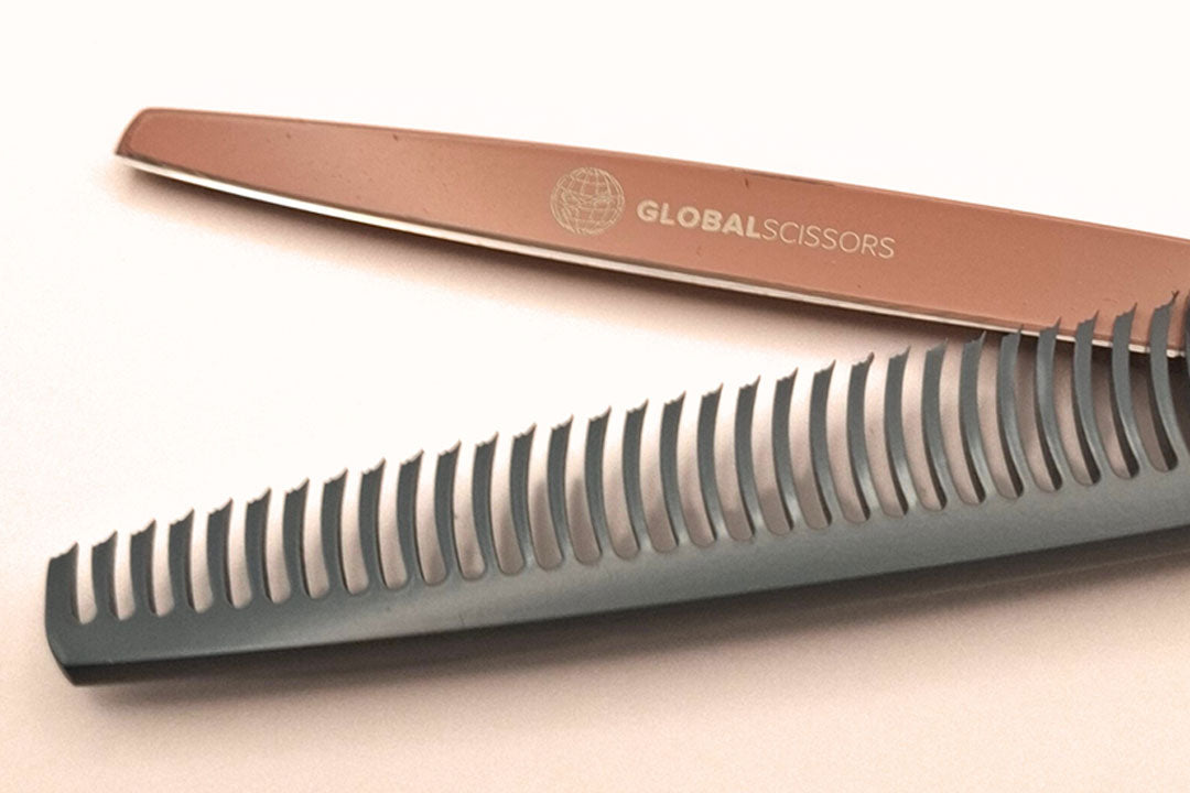 Bella 5.5 Inch & 6 Inch Cutting & 6 Inch Thinning Scissor Apprentice Bundle