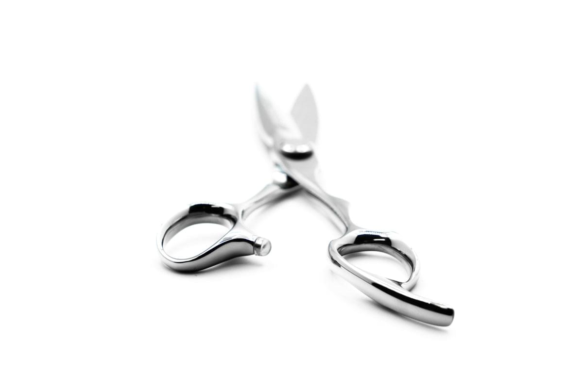 Ashton 'SLIDER' 6 inch Cutting Scissor