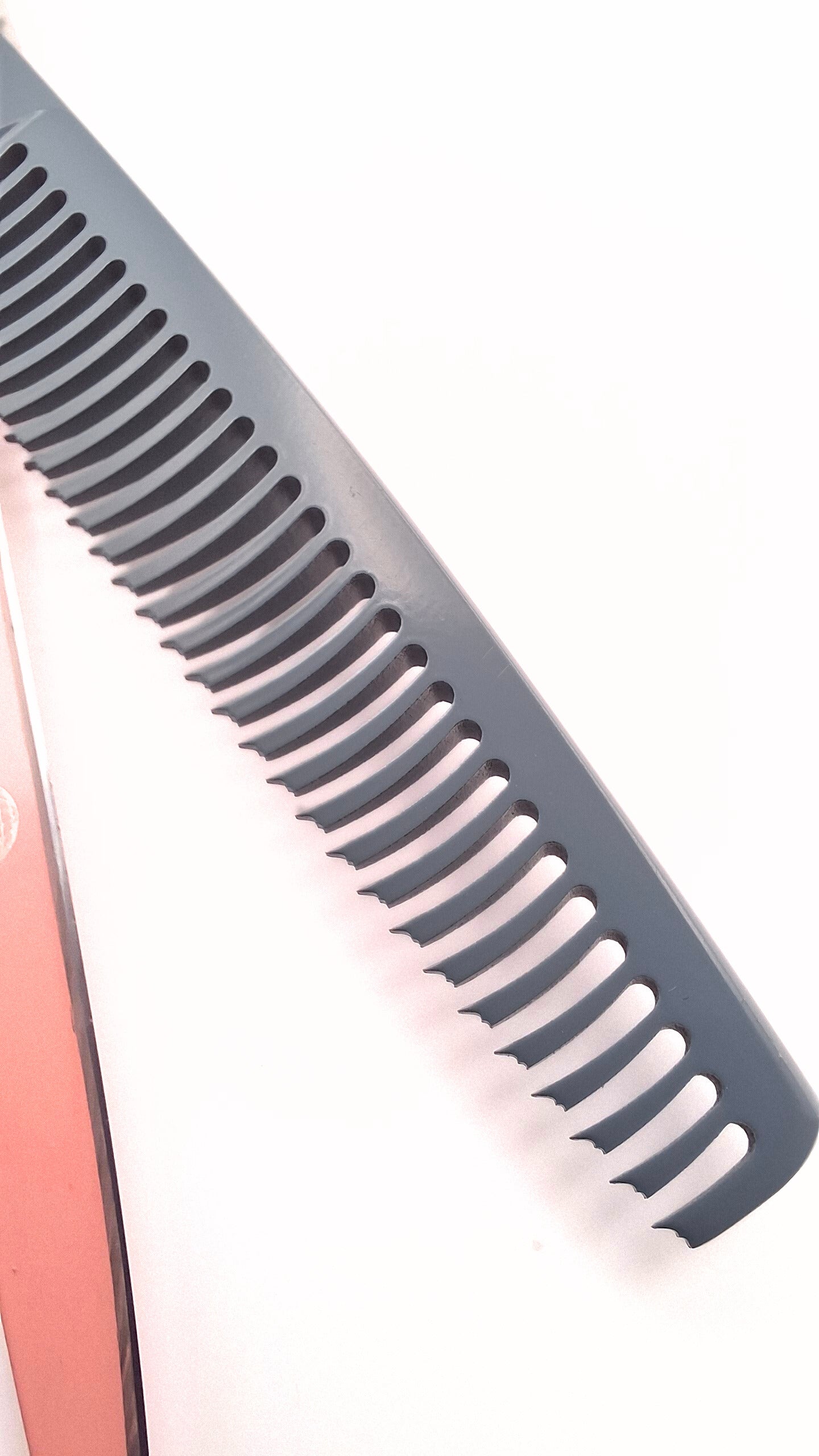 Bella 5.5 Inch or 6 Inch Cutting & 6 Inch Thinning Scissor Apprentice Bundle