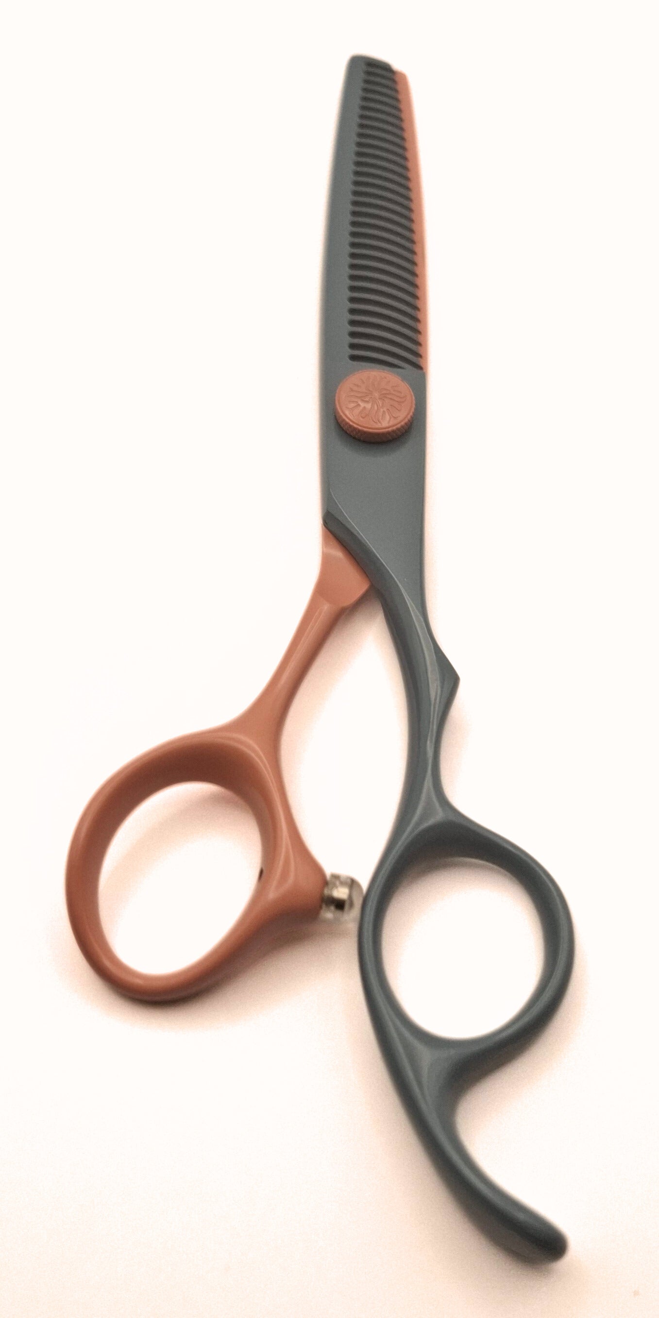 Bella 5.5 Inch or 6 Inch Cutting & 6 Inch Thinning Scissor Apprentice Bundle